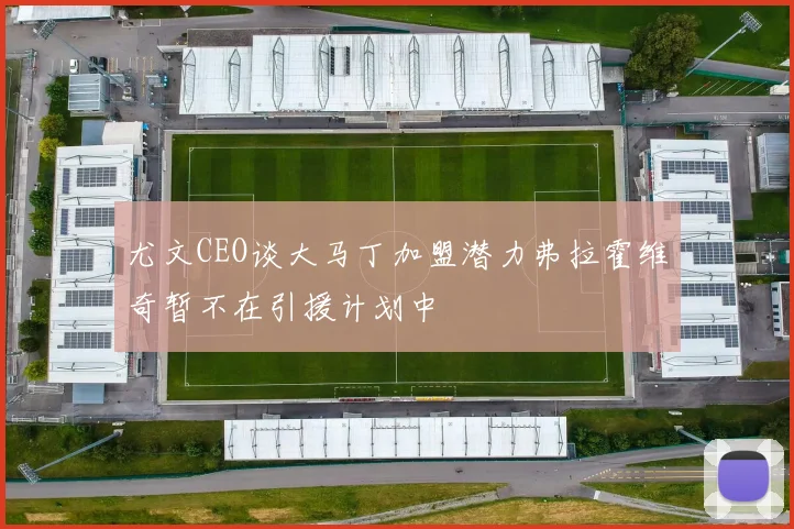 尤文CEO谈大马丁加盟潜力弗拉霍维奇暂不在引援计划中